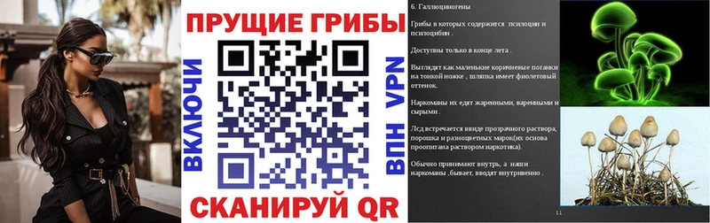 мориарти как зайти Грязовец Псилоцибиновые грибы MAGIC MUSHROOMS