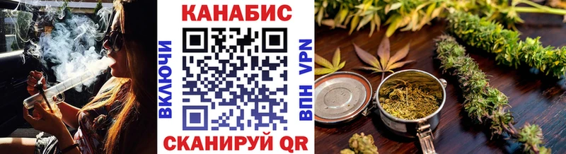 omg онион  Грязовец  Конопля план 